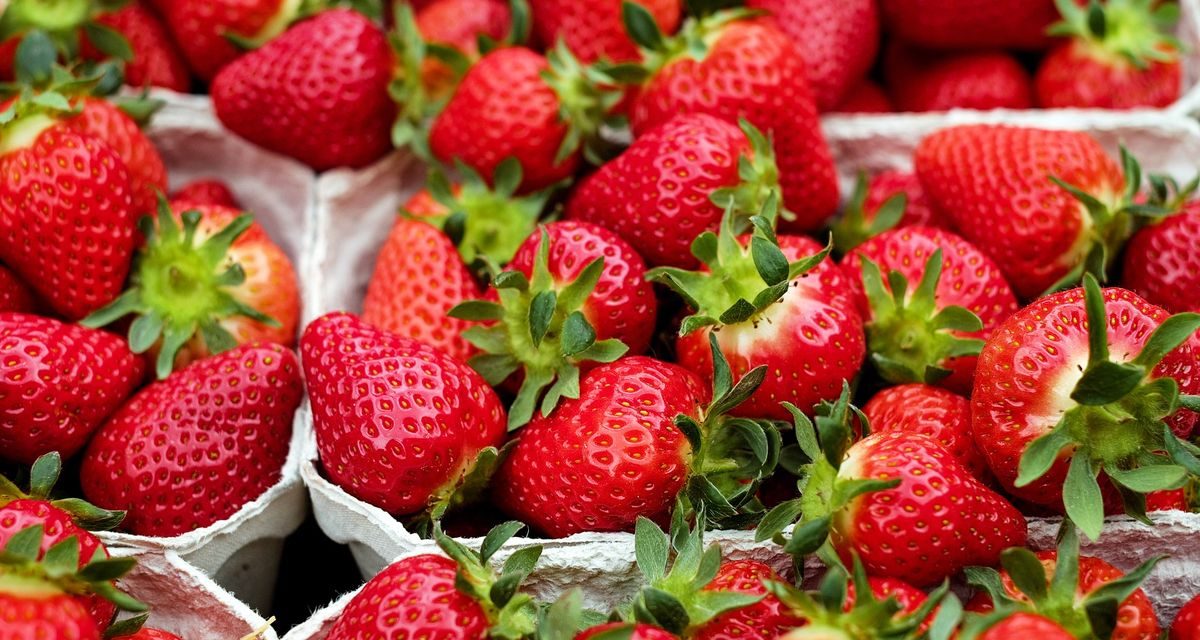 Strawberry, Buah Segar Yang Efektif Meredakan Peradangan