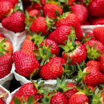Strawberry, Buah Segar Yang Efektif Meredakan Peradangan