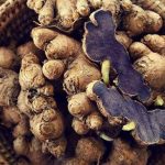 Superfood Tradisional! Kunyit Hitam Kaya Khasiat Untuk Tubuh