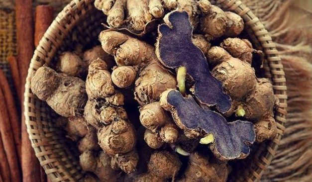 Superfood Tradisional! Kunyit Hitam Kaya Khasiat Untuk Tubuh