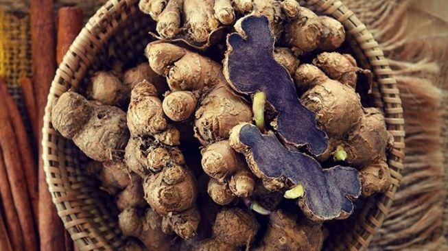 Superfood Tradisional! Kunyit Hitam Kaya Khasiat Untuk Tubuh