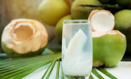 Superfood Tersembunyi! Kelapa Punya Manfaat Luar Biasa