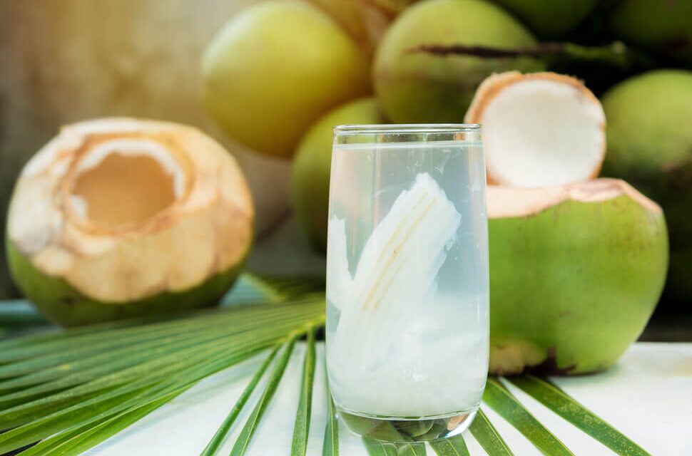 Superfood Tersembunyi! Kelapa Punya Manfaat Luar Biasa