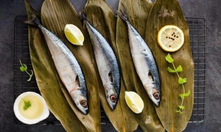 Kaya Nutrisi! Ikan Sarden Mengandung Omega-3 Dan Selenium
